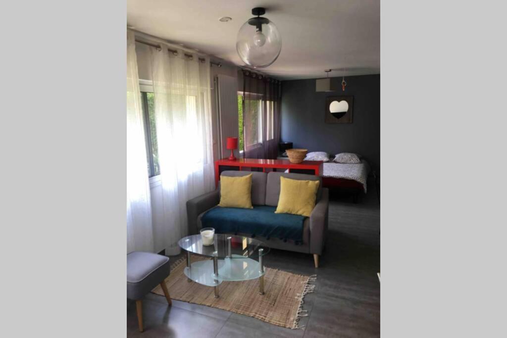 Bel Appartement En Rez De Jardin, 10Min Centre Et 300M Quais De Seine Wifi ルーアン エクステリア 写真